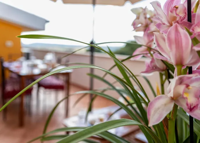 Casa Clara In In The Nuraghe Of Santa Cadrina A Short Distance From The Beaches Uri